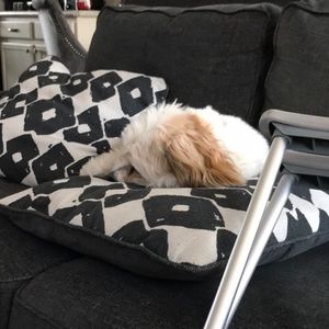 Meet your Posher, Cami